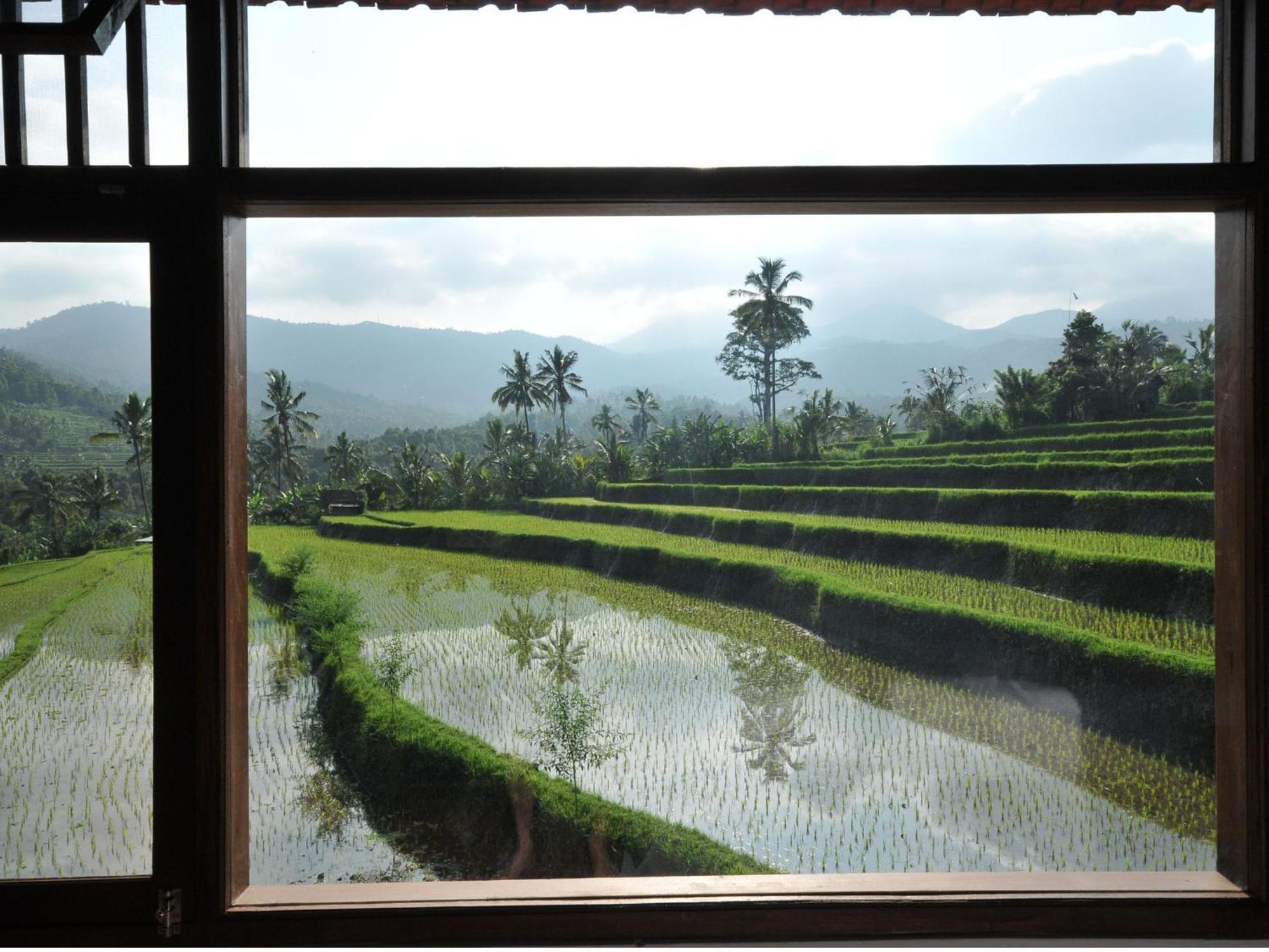 Lesong Hotel And Restaurant Munduk  Room photo